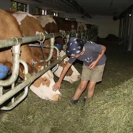 Vakantieboerderij Gapphof *
