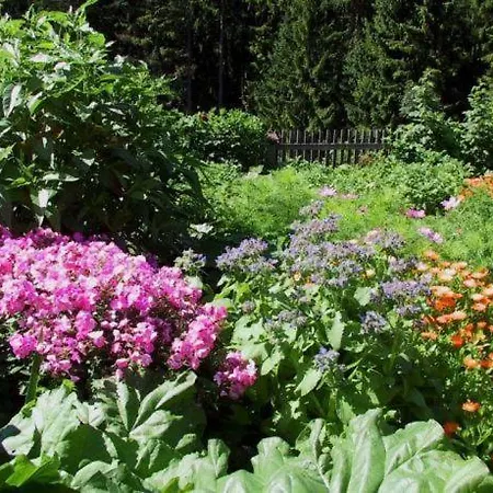 בית חווה Gapphof *