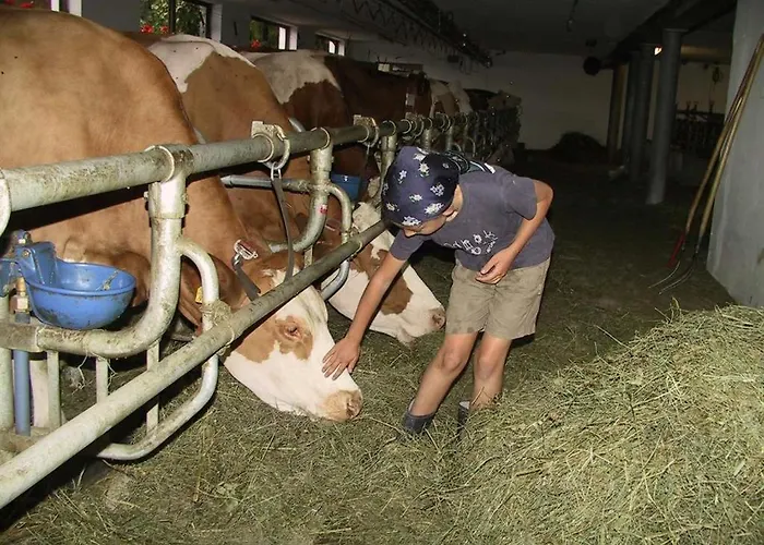 Séjour à la ferme Gapphof *