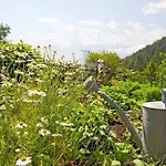 Alloggio per agriturismo Gapphof